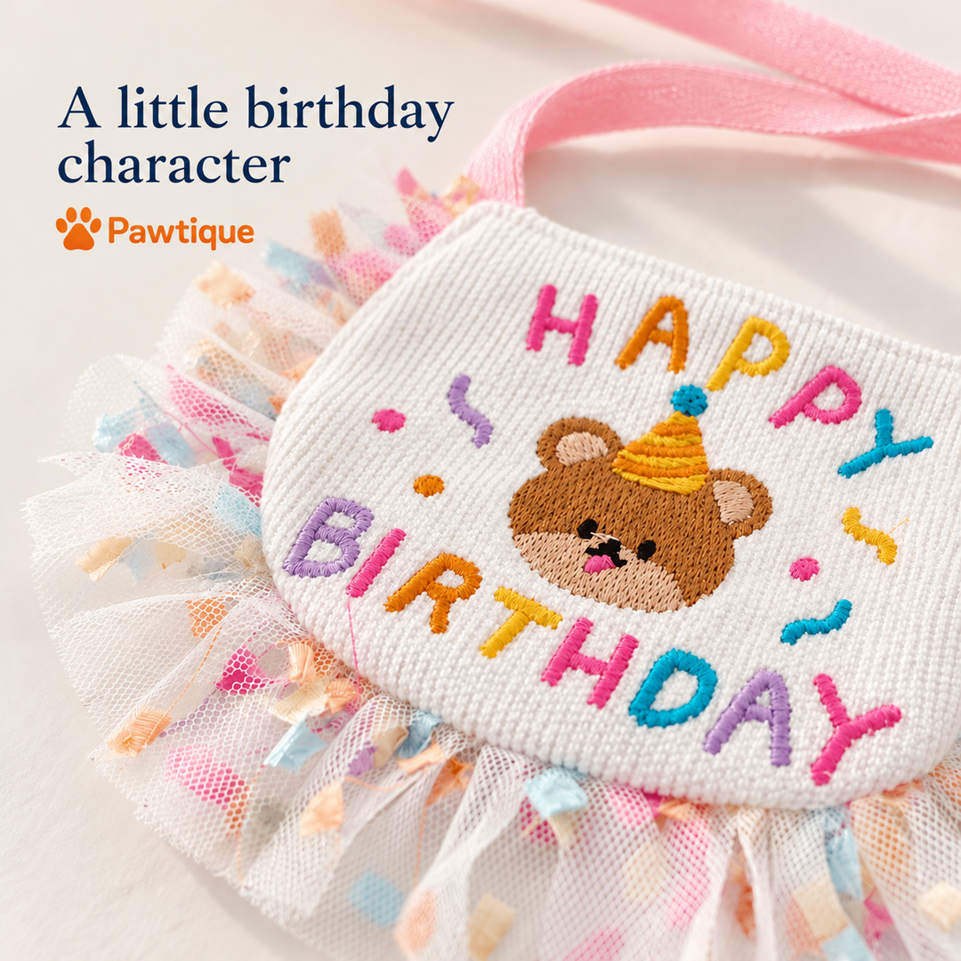 Birthday Bear embroidery and sheer trim detail