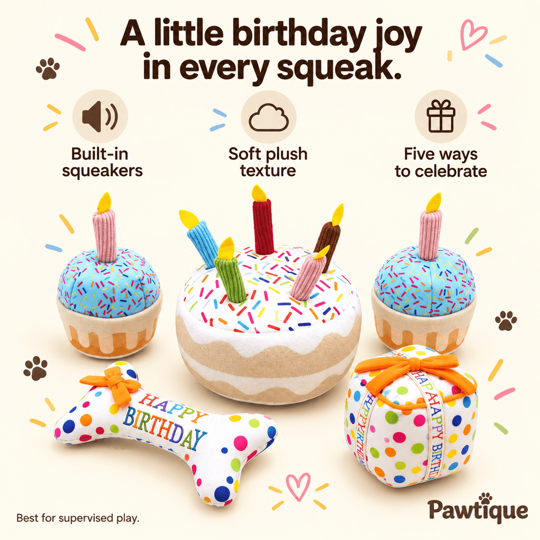 Birthday Cake Squeaky Toys - Pawtique