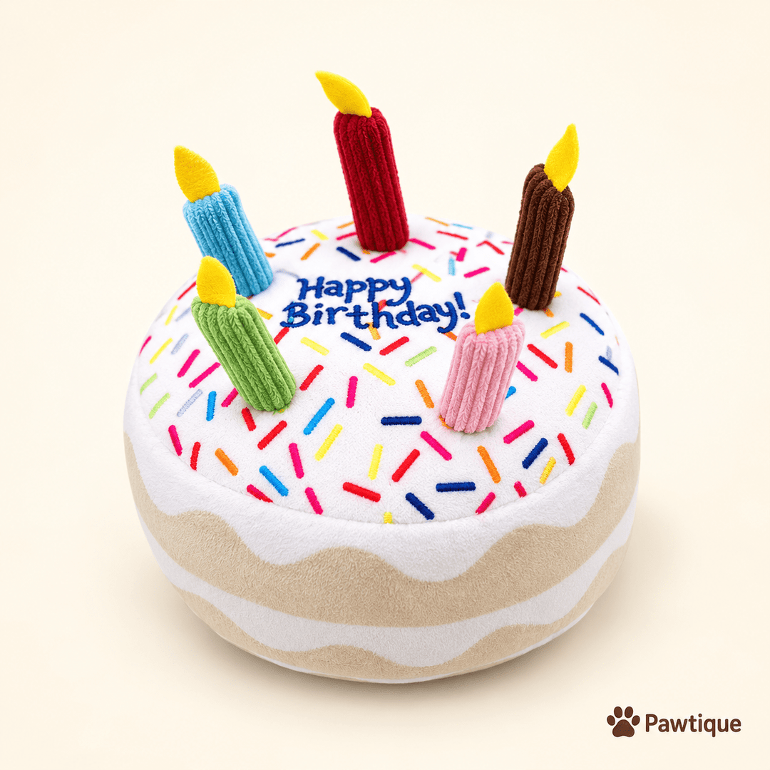 Birthday Cake Squeaky Toys - Pawtique
