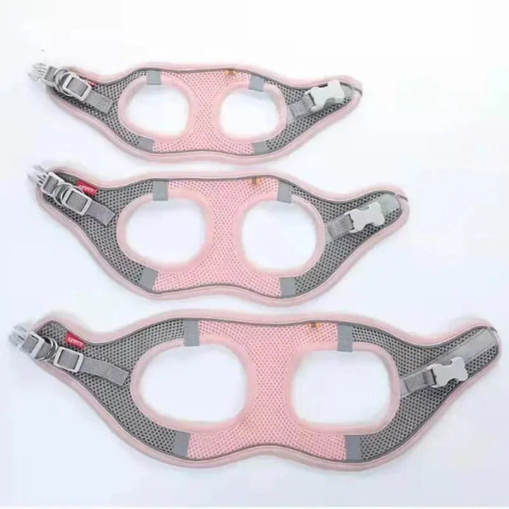 Breathable Dog Harness – Adjustable Harness for Cats &amp; Dogs - Pawtique