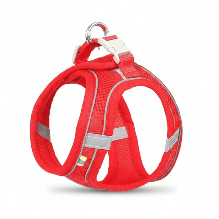 Breathable Dog Harness – Adjustable Harness for Cats &amp; Dogs - Pawtique