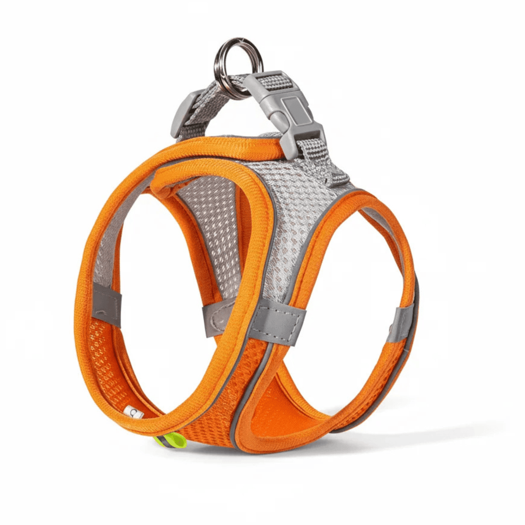 Breathable Dog Harness – Adjustable Harness for Cats &amp; Dogs - Pawtique