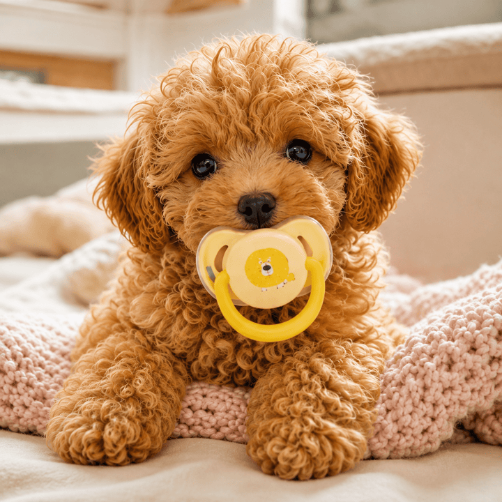 Calming Pacifier Soft Silicone Chew - Pawtique