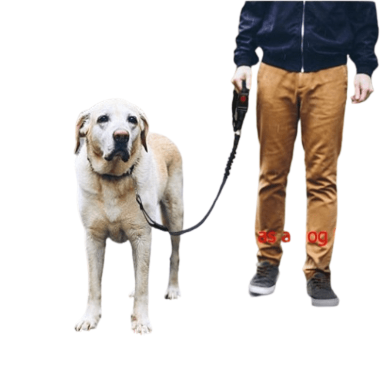 Car Seat Belt Dog Harness - Pawtique