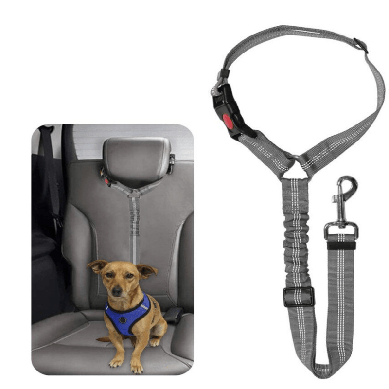 Car Seat Belt Dog Harness - Pawtique