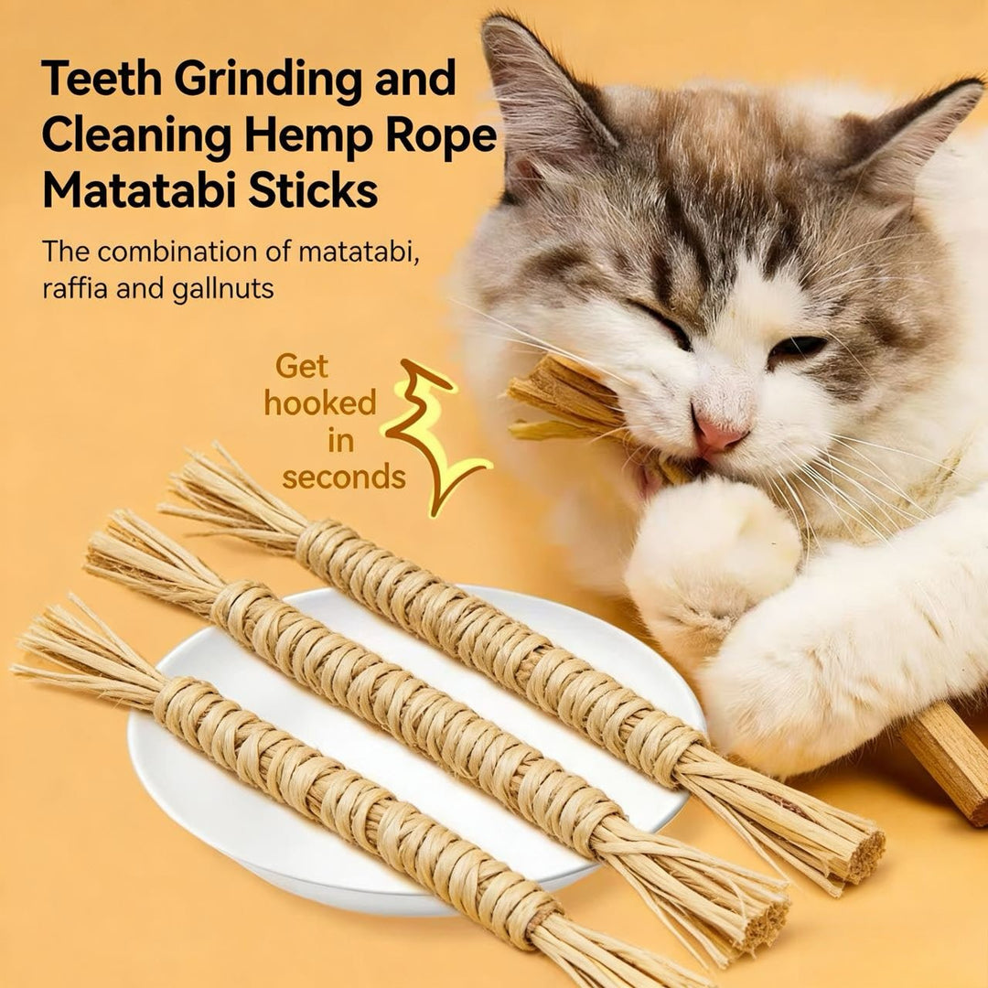 Cat Chew Toy 5 - Piece Set - Pawtique