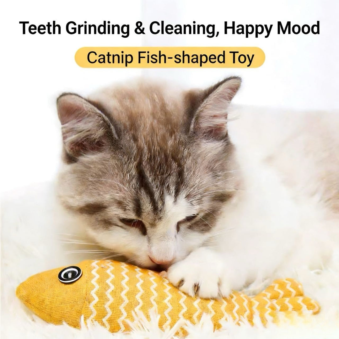Cat Chew Toy 5 - Piece Set - Pawtique