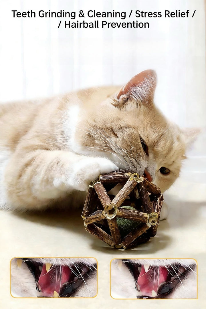 Cat Chew Toy 5 - Piece Set - Pawtique