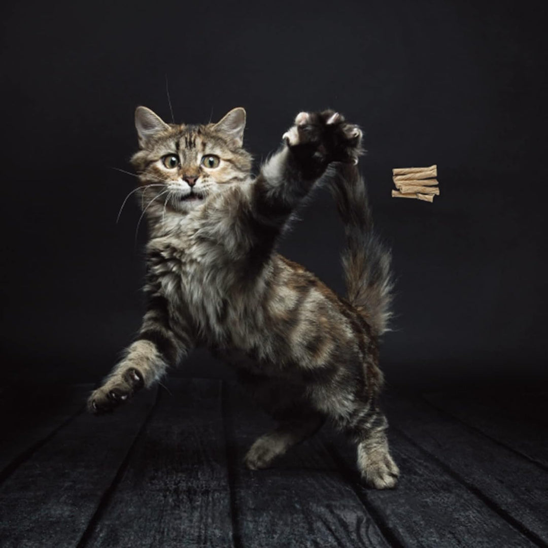 Cat Dancer Interactive Wand Toy - Pawtique