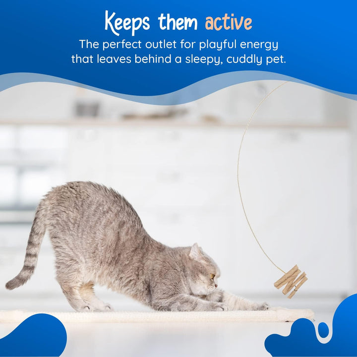 Cat Dancer Interactive Wand Toy - Pawtique