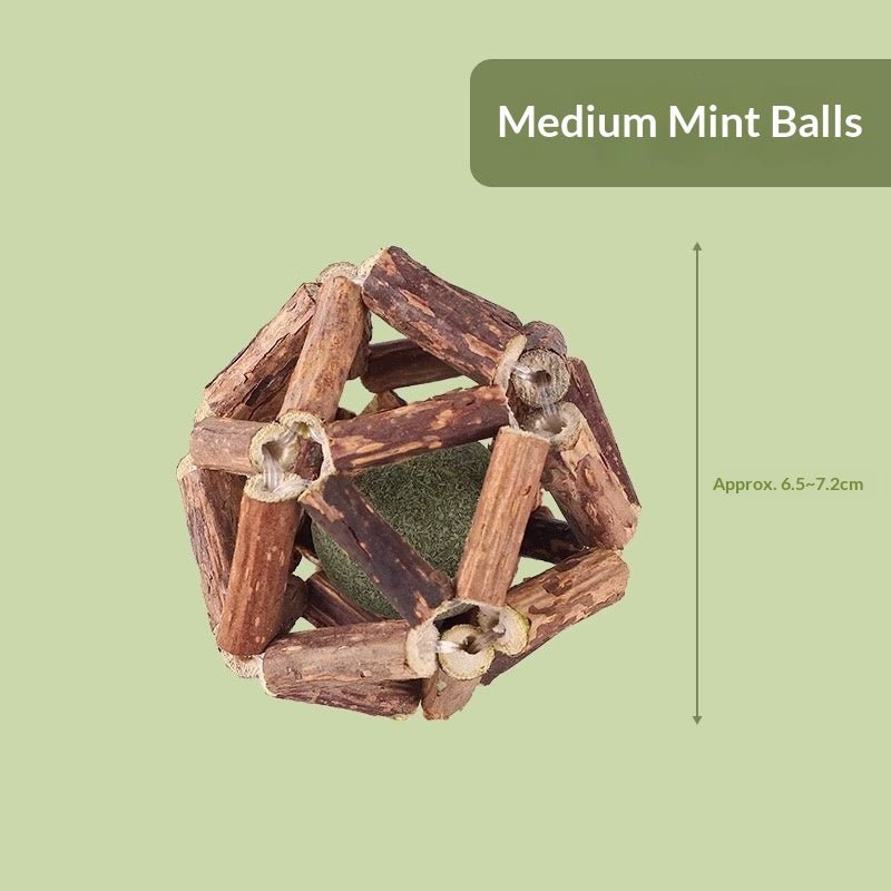 Catnip &amp;amp; Silvervine Dental Chew Ball - Pawtique