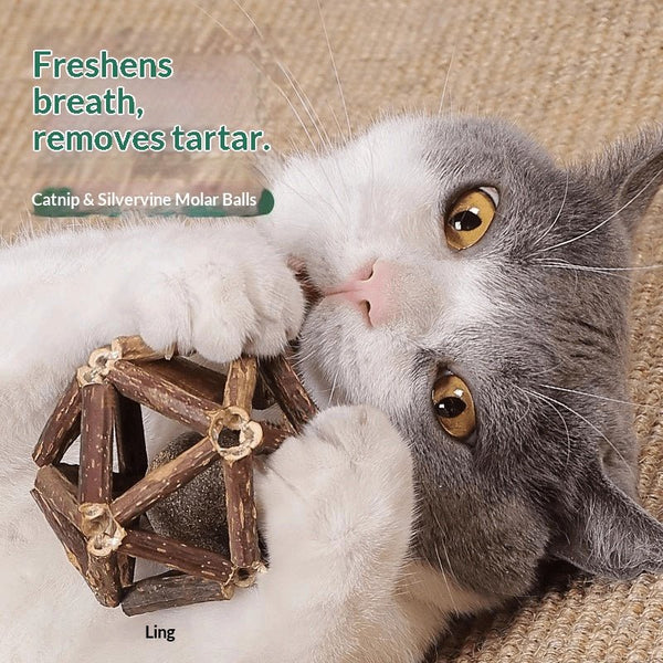 Catnip &amp; Silvervine Dental Chew Ball - Pawtique