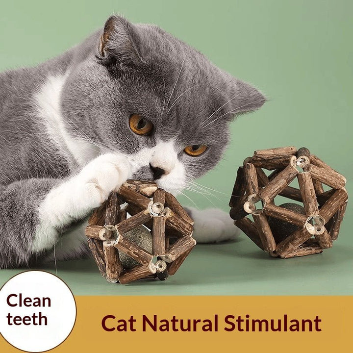 Catnip &amp;amp; Silvervine Dental Chew Ball - Pawtique