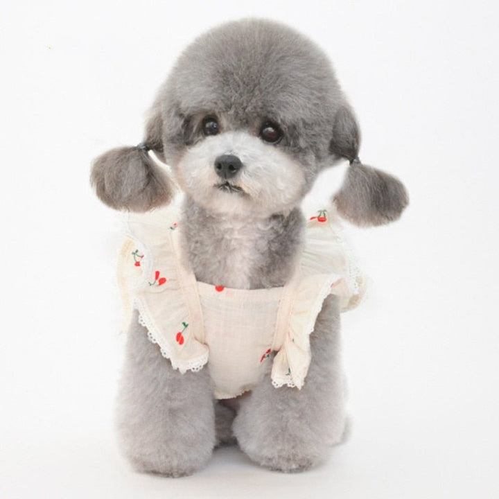 Cherry Printed Dog Cat Dress With Hat - Pawtique