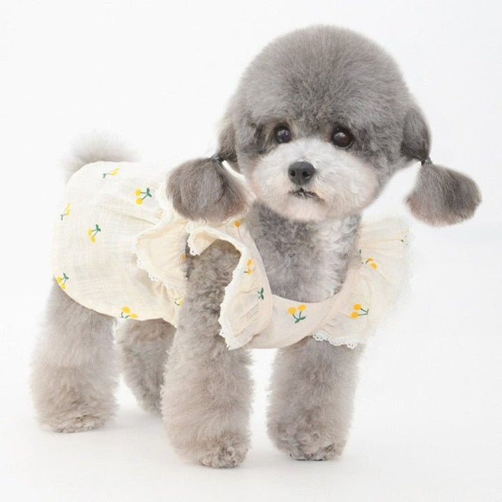 Cherry Printed Dog Cat Dress With Hat - Pawtique