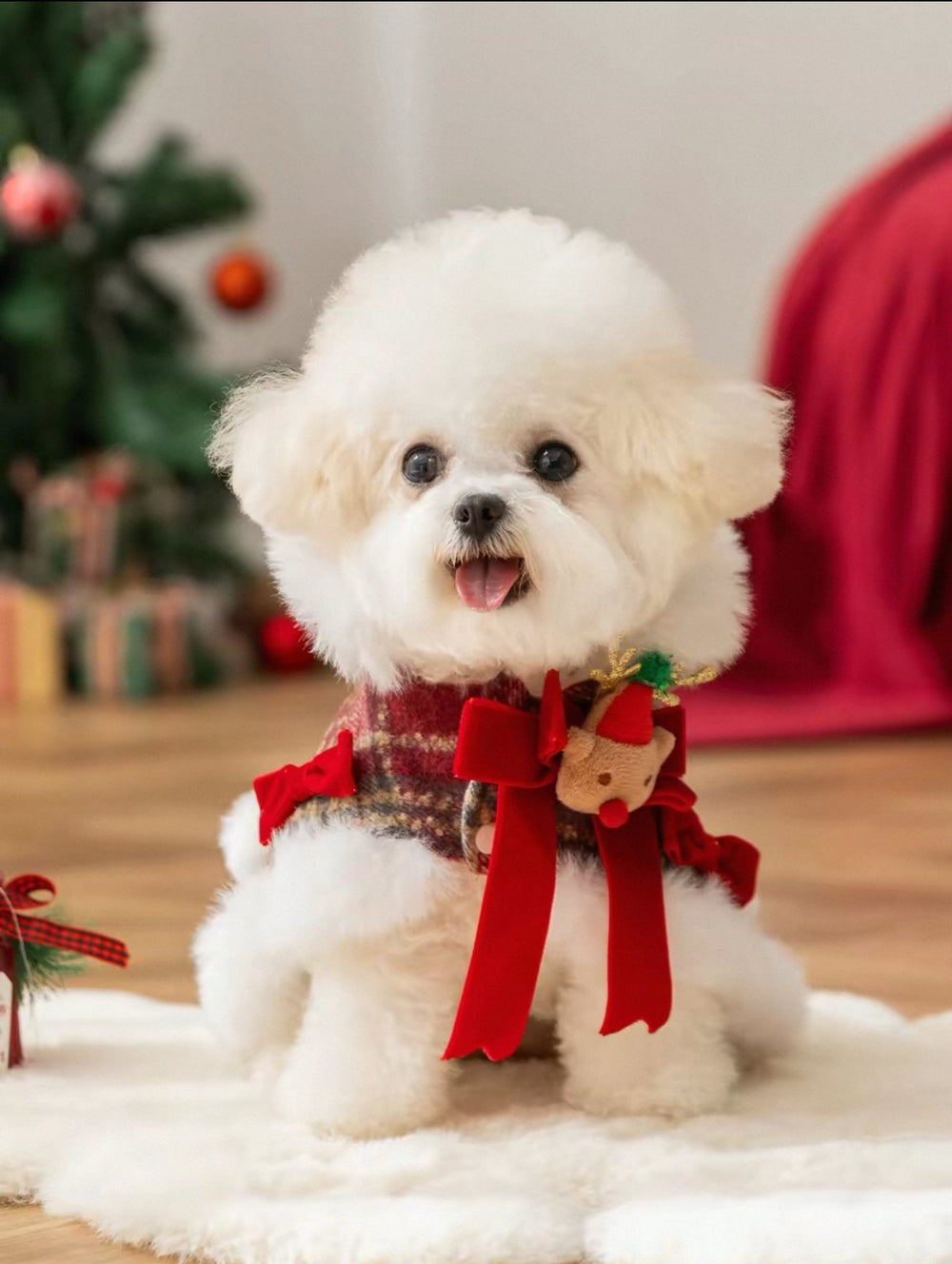 Christmas Pet Cape — Turn Your Pet into a Festive Reindeer - Pawtique