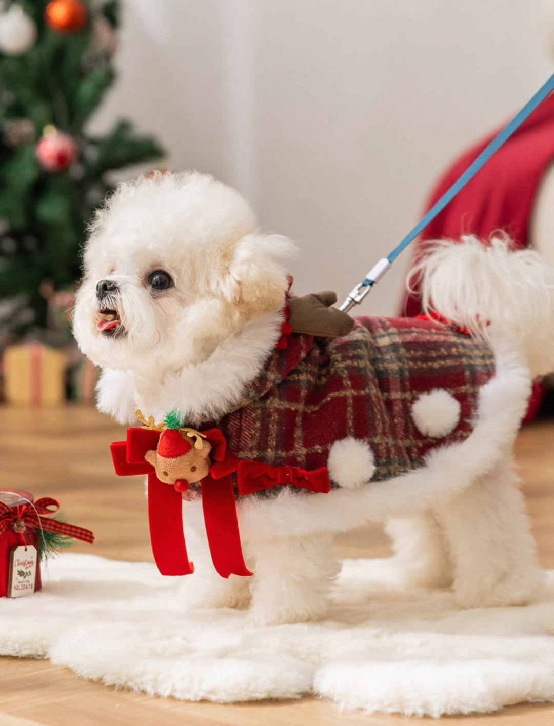 Christmas Pet Cape — Turn Your Pet into a Festive Reindeer - Pawtique