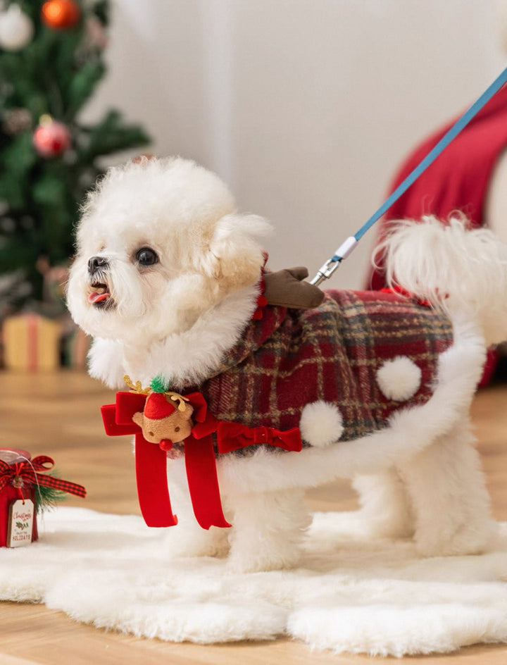 Christmas Pet Cape — Turn Your Pet into a Festive Reindeer - Pawtique