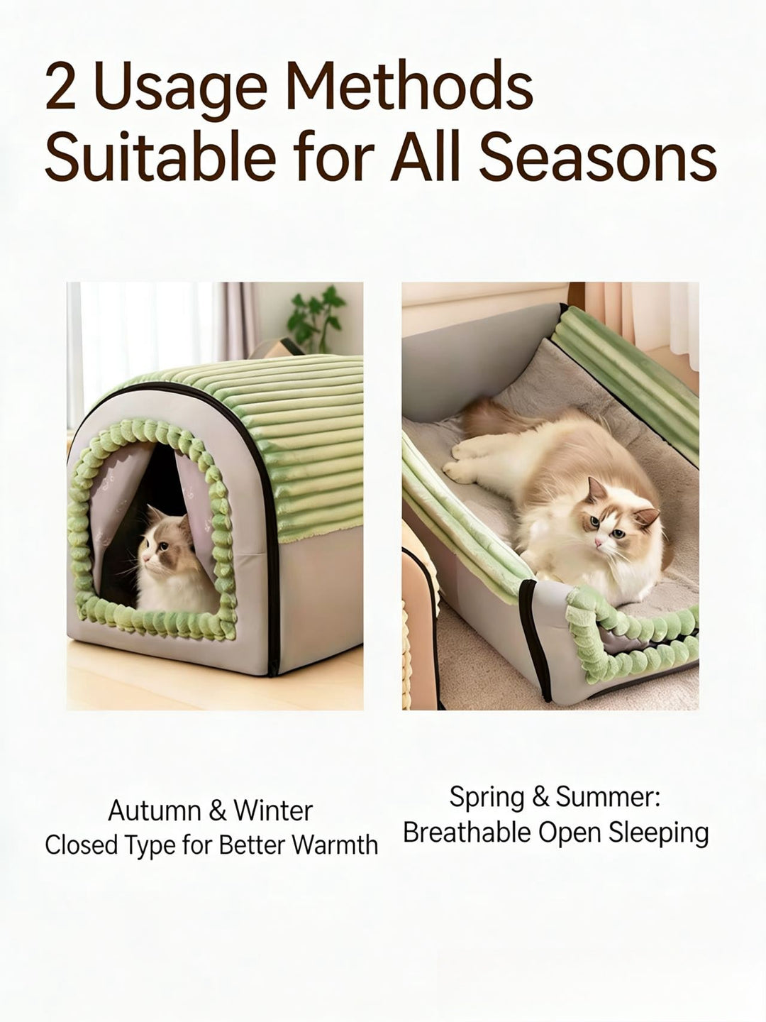 Closed Cat House - Pawtique