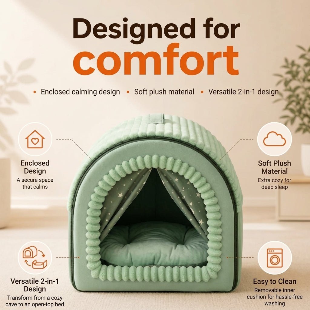 Closed Cat House - Pawtique