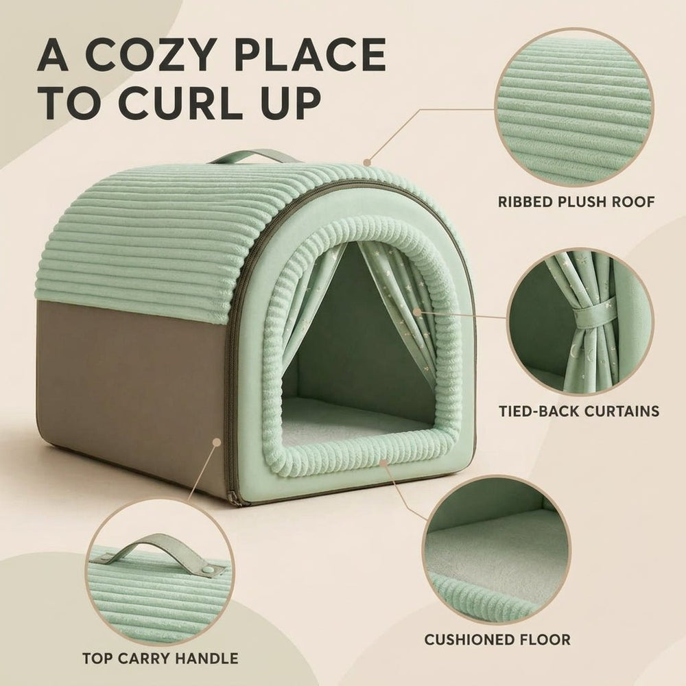 Closed Cat House - Pawtique