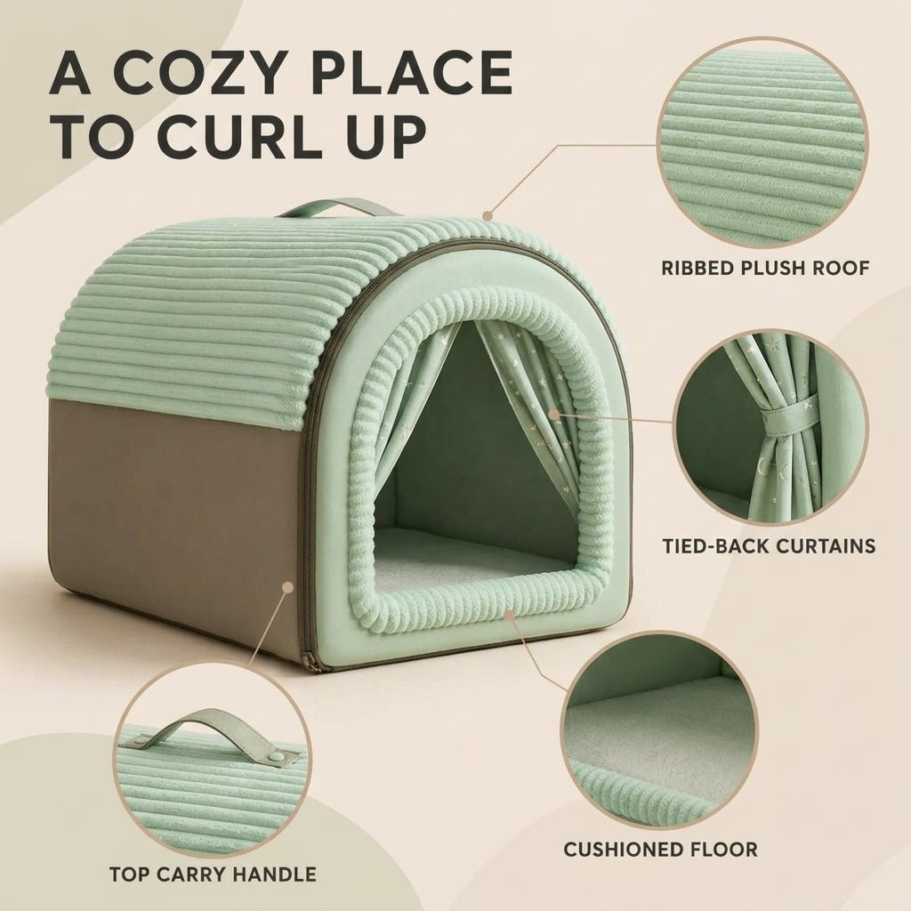 Closed Cat House - Pawtique