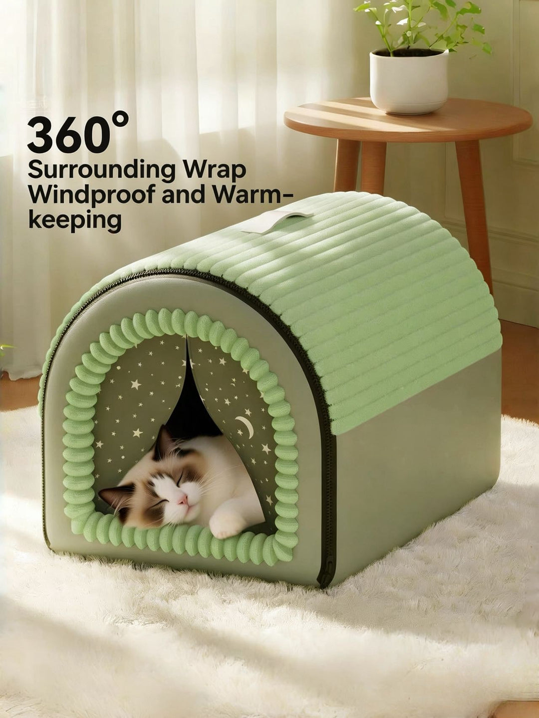 Closed Cat House - Pawtique