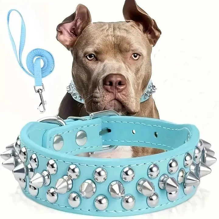 Cool Leather Collar with Spikes and Matching Leash - Pawtique