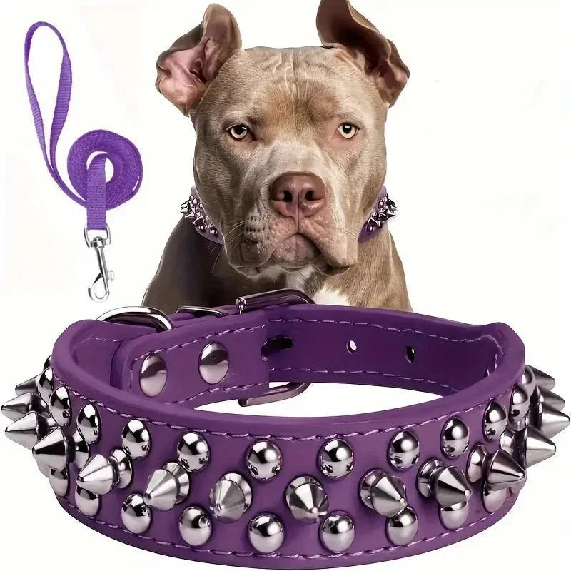 Cool Leather Collar with Spikes and Matching Leash - Pawtique