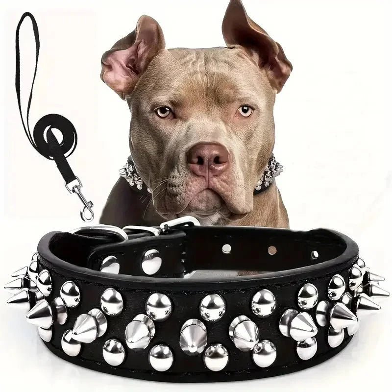 Cool Leather Collar with Spikes and Matching Leash - Pawtique