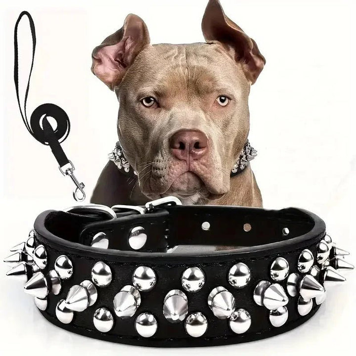 Cool Leather Collar with Spikes and Matching Leash - Pawtique