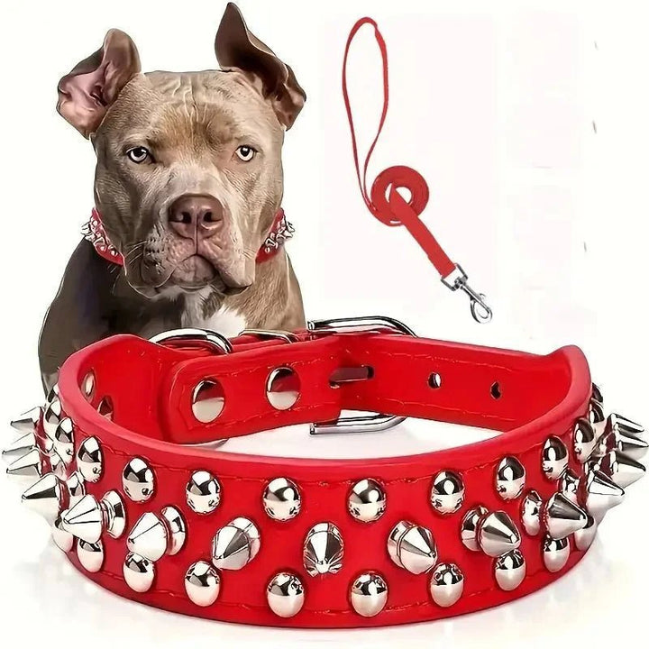 Cool Leather Collar with Spikes and Matching Leash - Pawtique