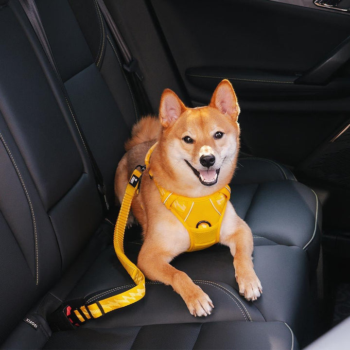CoolPaw Buffer - Adjustable Safe Dog Car Belt - Pawtique