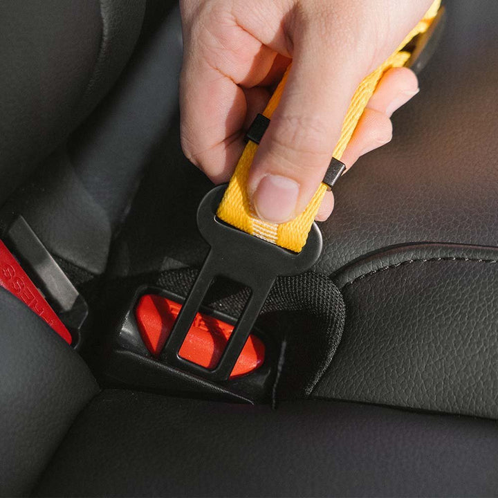 CoolPaw Buffer - Adjustable Safe Dog Car Belt - Pawtique