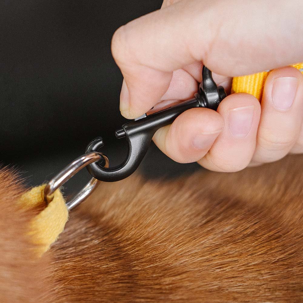 CoolPaw Buffer - Adjustable Safe Dog Car Belt - Pawtique