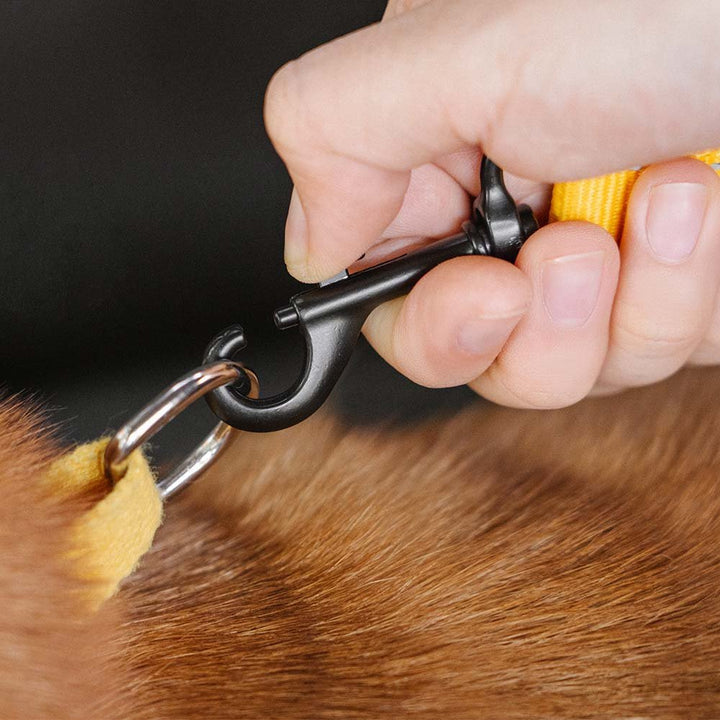 CoolPaw Buffer - Adjustable Safe Dog Car Belt - Pawtique