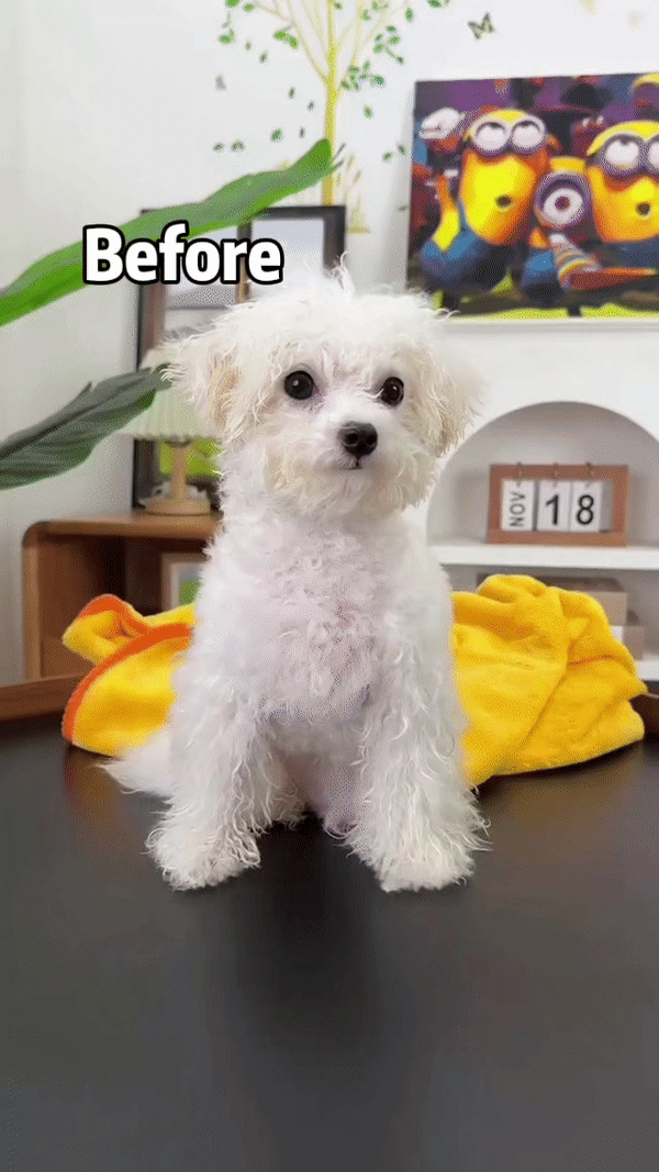 L&W BROS 2 in 1 Hair volumizing dryer for soft coats