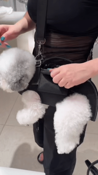 FCT Pet Carrier Backpack - Effortless Carrying & Gentle Care for Your Pup’s Journeys
