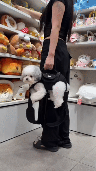 FCT Pet Carrier Backpack - Effortless Carrying & Gentle Care for Your Pup’s Journeys