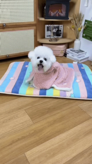 Pet Warm Cape - Snug, Cute &amp; Easy for Your Furry Pal!