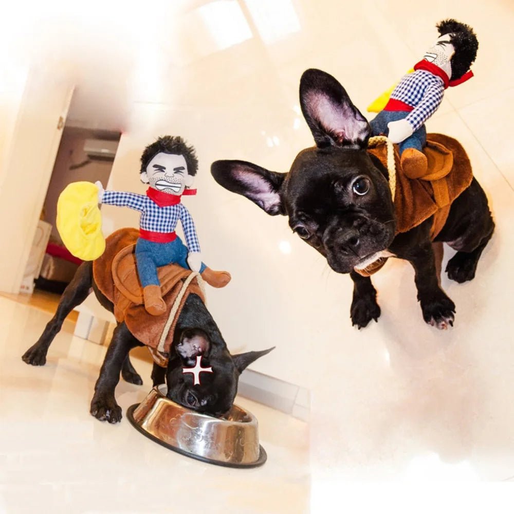 Cowboy costume - Pawtique