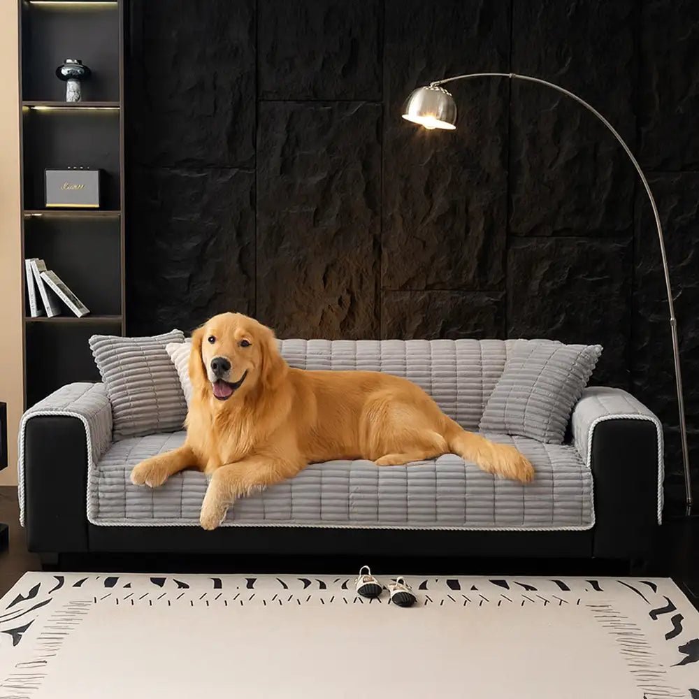 CozyGuard™ Waterproof Non-Slip Sofa Cover - Pawtique