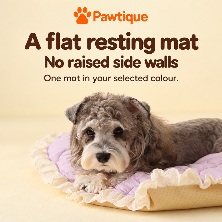 Side view of a dog on the flat Purple mat, showing the low padded profile and ivory ruffle