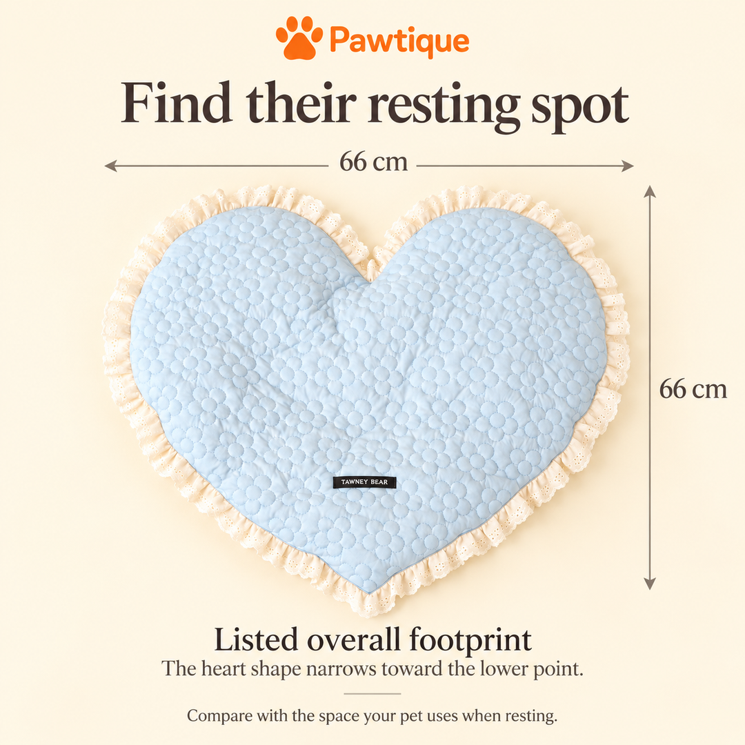 CozyHeart mat size guide showing a listed overall footprint of 66 × 66 cm