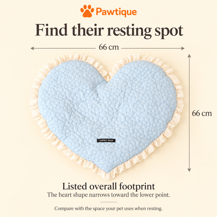 CozyHeart mat size guide showing a listed overall footprint of 66 × 66 cm