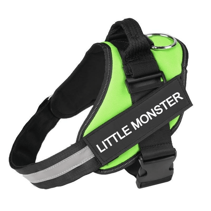 Custom No Pull Dog Harness with Name and Phone Number, Heavy Duty Personalized Pet Vest - Pawtique