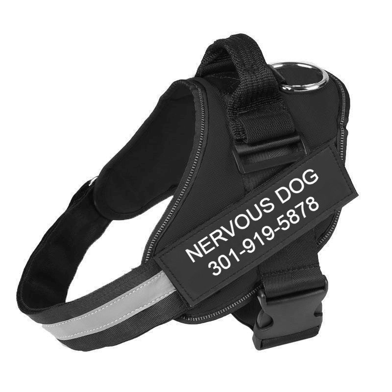 Custom No Pull Dog Harness with Name and Phone Number, Heavy Duty Personalized Pet Vest - Pawtique