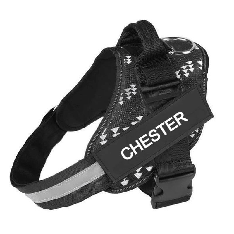 Custom No Pull Dog Harness with Name and Phone Number, Heavy Duty Personalized Pet Vest - Pawtique