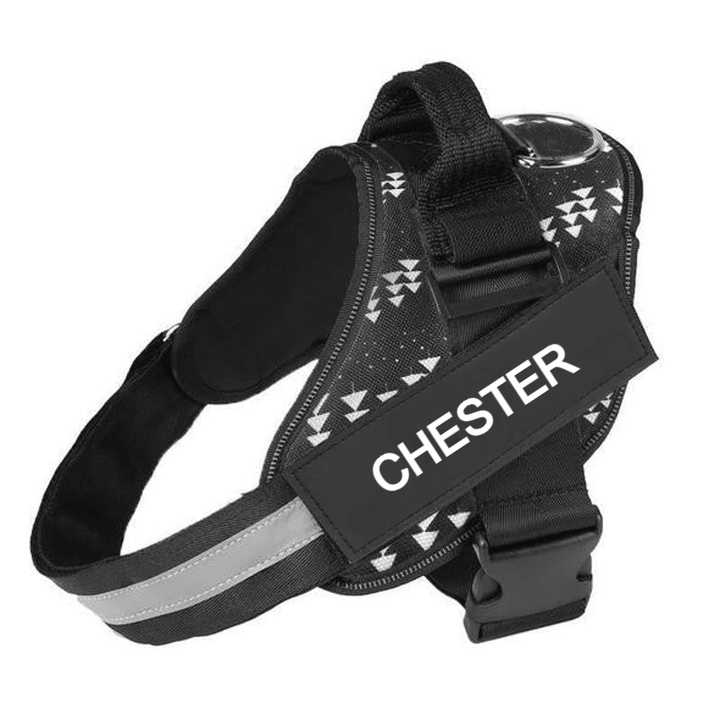 Custom No Pull Dog Harness with Name and Phone Number, Heavy Duty Personalized Pet Vest - Pawtique