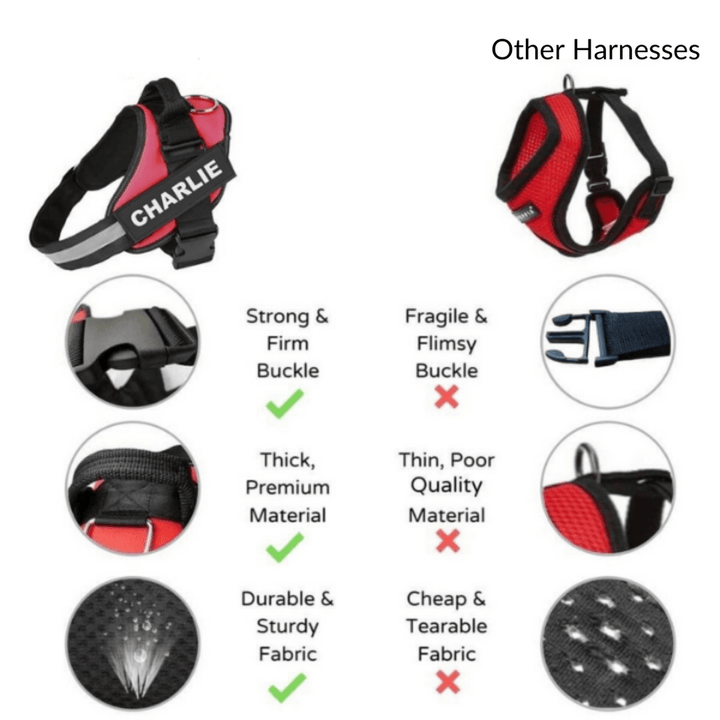 Custom No Pull Dog Harness with Name and Phone Number, Heavy Duty Personalized Pet Vest - Pawtique